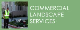 Commercial Landscape Services California