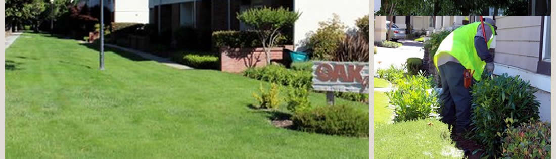Commercial Lawn Care Services The Landscape Company Property Landscaping Management
