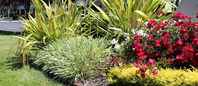 Commercial Landscaper The Landscape Company Property Landscaping Management