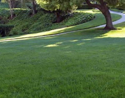 Landscape Maintenance for Commercial/Residential Properties in California