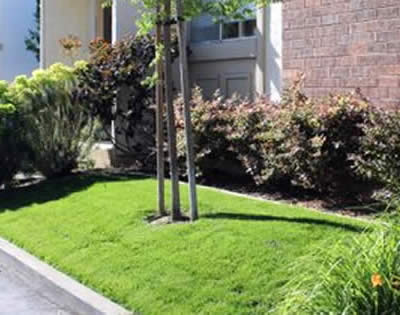 Landscape Maintenance for Commercial/Residential Properties in California