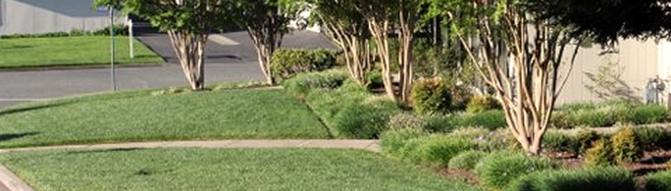 About The Landscape Company Property Landscaping Management