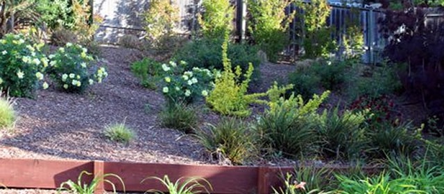 Residential Landscape Services The Landscape Company Property Landscaping Management